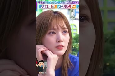 ピタ止めチャレンジ_本田翼