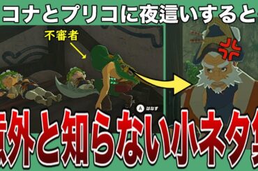 【ティアキン】カカリコ村のココナとプリコに夜這いすると…意外と知らない爆笑小ネタ集8選【ゼルダの伝説ティアーズオブザキングダム/ティアキン】