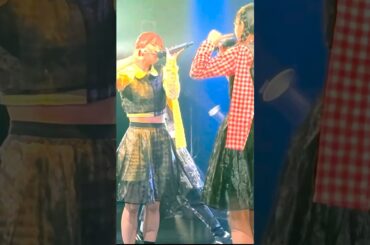 【アイカ】ぷりぷり #豆柴の大群 #都内某所 #豆柴の大群都内某所 #ライブ #ライブ映像 2024.06.27 HEROINES FES