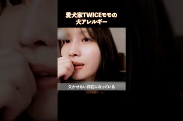 愛犬家TWICEモモの犬アレルギー