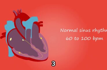意味が分かると怖い話。そっくりな双子。