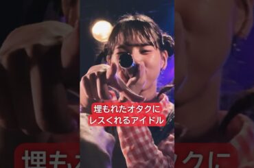 【一瞬開いた視界に、アイドルからのレスが沼すぎる】アイカザスパイ 推しカメラ 豆柴の大群/わんダーらんど #ライブ #推し活 #アイドル #豆柴の大群