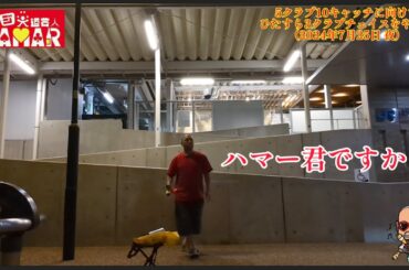 このゴリラの記憶力がなかなかな件