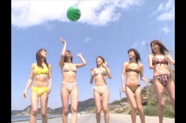 レースクイーンの近藤和美さん・坂間恵さん・横須賀まりこさん・椎名ゆかさん・七生奈央さん5人のスイカ・バレーの風景