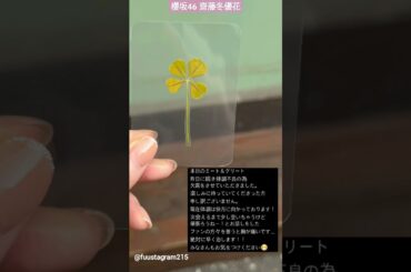 齋藤冬優花 ふーちゃんからご報告。ふーちゃんお大事に、、、早く元気になりますように！