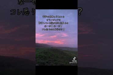 #オリンピック#パリオリンピック#五輪#サーフィン#サーフィンオリンピック#スポーツ#平和#愛#自然#海#平和の祭典#サーフィンライフ#伊良湖#全日ポイント#ウクライナ