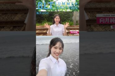 向井純葉 いとちゃんからコメント♩本日7月29日発売！BLT SUMMER CANDY 2024