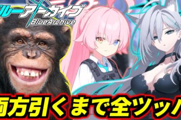 【ブルアカ】魂の3.5周年☆3確率2倍ガチャ、臨戦ホシノとクロコ両方引くまで全財産ツッパいきます【ブルーアーカイブ】【BlueArchive】