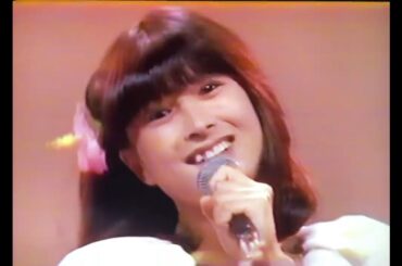 レッツ〇〇ヤング 🌼1982 夏🌼河合奈保子さん＆小泉今日子さん＆倉田まり子さん＆イルカさん🐠夏のヒロイン🎵素敵なラブリーボーイ🎵愛の飛行士🎵ブロンデイの誘惑の楽園🎵