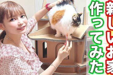 猫に新しいお家を作りました！超巨大キャットタワー！