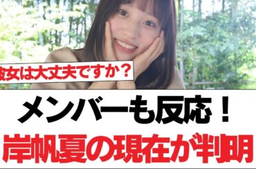 【日向坂46】【元日向坂46】メンバーも反応！岸帆夏の現在が判明【日向坂で会いましょう】#日向坂46 #日向坂で会いましょう #乃木坂46 #櫻坂46