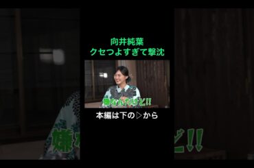 テンパっちゃう気持ち、わかる #櫻坂46 #田村保乃 #山﨑天 #向井純葉 #山下瞳月 #サクコイ #サクコイ1周年 #サクコイ切り抜き