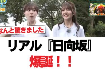 【日向坂46】リアル『日向坂』爆誕！！【日向坂で会いましょう】#日向坂46 #日向坂で会いましょう #乃木坂46 #櫻坂46