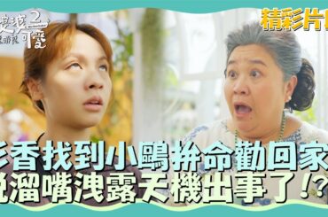 彩香找到小鷗拚命勸回家？說溜嘴洩露天機出事了！？【我的婆婆怎麼那麼可愛2】精彩片段｜每週日晚間8點 東森戲劇40頻道 鍾欣凌 黃姵嘉 洪都拉斯 張書偉 邱凱偉 王少偉 楊銘威 蘇晏霈 林筳諭