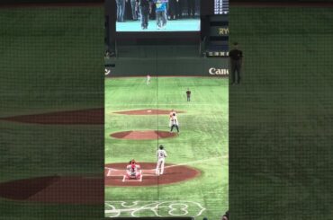 第95回都市対抗野球決勝 始球式 古田敦也氏