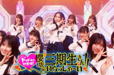 【作業用】櫻坂46三期生そこさく初登場