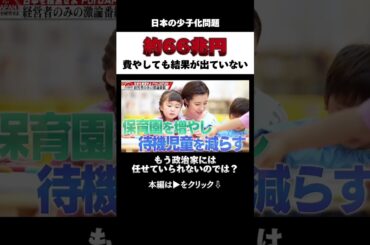 約66兆円費やしても結果が出ていない少子化問題 #日本 #政治 #経済 #shorts