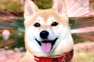 だんだん楽しくなってきた初心者ヴァロ15日目 w/松岡康眞P・七星六さん【VALORANT】