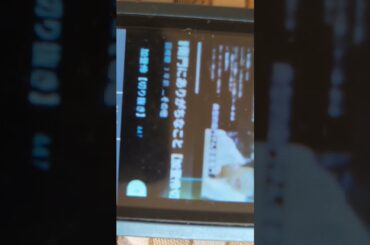 いい女でしょ？昭和、平成半ばのA◯ビデオ女優みたいでしょ？見て？かとうれい、加藤夏希みたいな