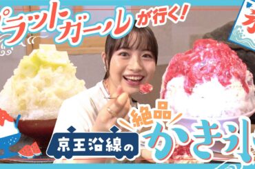 【京王沿線かき氷】この夏絶対に食べたい絶品かき氷大調査！【プラットガール其原有沙】