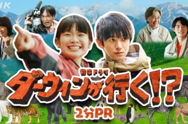 あの「ダーウィンが来た！」がドラマになった！？【ダーウィンが行く！？】2分PR | NHK 総合 8/20(火)夜7:30～ | NHK