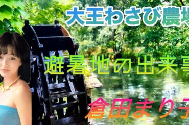 夏の安曇野 大王わさび農場  避暑地の出来事（1983 倉田まり子）