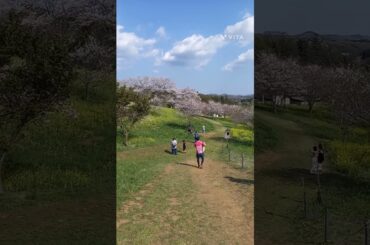 [栃木県小宅古墳群]　③これが最後なんでまだ見てない方は初めからぜひ