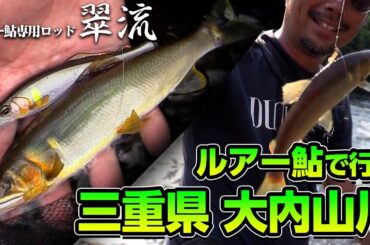翠流＆流鮎シリーズで大内山川に挑戦❕
