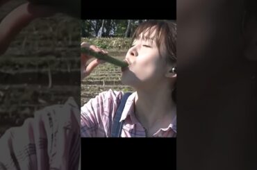 【女子アナ】農家さんからアスパラをいただきました。【大家彩香】#Shorts　#女子アナ　#かわいい　#大家彩香　