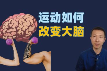 运动如何改变大脑