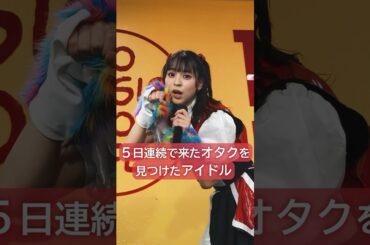 「...お前5日間ぜんぶ来たの！？」アイカザスパイ 推しカメラ「豆柴の大群- お送りするのは人生劇場」#アイドル #ライブ #推し活 #豆柴の大群