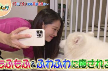 8/18(土) 谷本安美が原宿で癒しスポットめぐり【キタコイ】