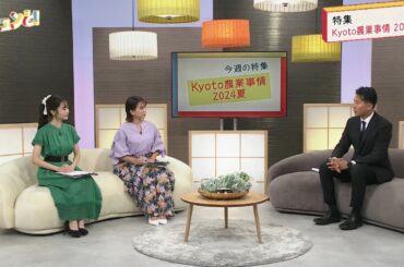 キュンと！「Kyoto農業事情 2024夏」 | KBS京都テレビ（2024年8月9日放送分）