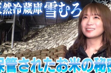 山形が誇る貯蔵技術！秋元真夏が雪むろ倉庫を見学！