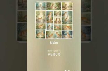 Neko #動物