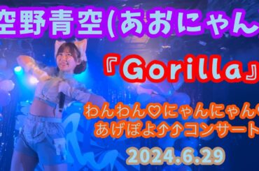 『Gorilla』空野青空(あおにゃん)/2024.6.29 わんわん♡にゃんにゃん♡あげぽよ⤴⤴コンサート(11周年記念ワンマンライブ)
