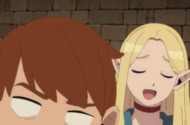 マルシルでアッーウッウッイネイネ【ダンジョン飯】