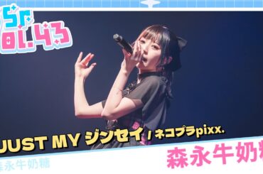 【LIVE映像】SSr Vol.43 森永牛奶糖『JUST MY ジンセイ / ネコプラpixx.』｜Shining Star Project｜2024.05.18【4K】