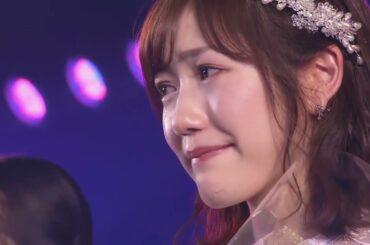 桜の花びらたち