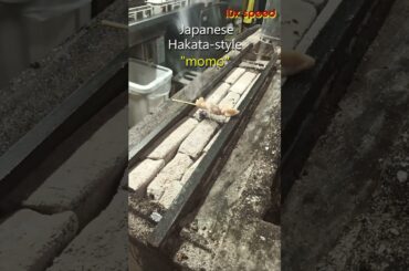 【Japanese food】焼鳥だから”モモ”。"Momo" yakitori. Grilled chicken thigh over charcoal.