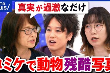 【ヴィーガン】コミケで残酷な動物写真...問題提起の目的と効果は？抗議活動の主催者と議論｜アベプラ