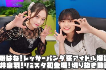 つばきファクトリー あみはね!レッサーパンダ系アイドル爆誕!石井泉羽!リミスタ初登場! #リミスタ #切り抜き #まとめ