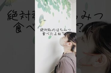 少女と小鳥は平和です🕊️