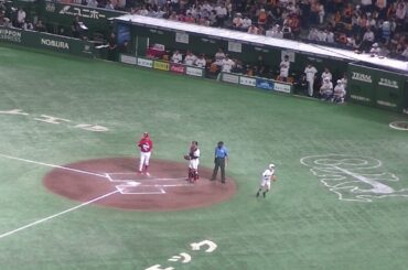 小園海斗 セカンドゴロ 吉川尚輝〜泉口友汰でゲッツー【読売ジャイアンツ対 広島東洋カープ  2024年8月6日】