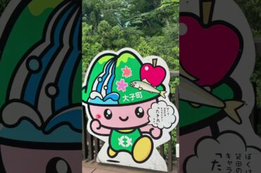 残猛暑お見舞い申し上げます#shorts #元気が出る #袋田の滝  #茨城県 #滝 #日本三名爆  #残暑 #猛暑