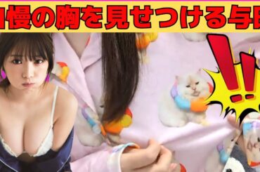 【与田祐希】自慢の胸を見せつけ、キャン玉トークするよだちゃん/文字起こし（乃木坂46・のぎおび）