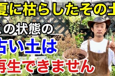 【やるの待って】植物を枯らした古い土を再生させるテクニック教えます　　　　　　　　　　【カーメン君】【園芸】【ガーデニング】【初心者】