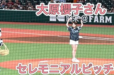 【練習風景つき】大原櫻子さん セレモニアルピッチ【西武vs楽天】2024/8/23 ライオンズフェスティバルズ