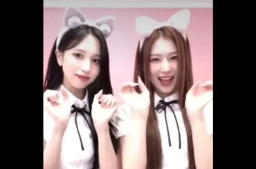 電車の中で見ないでください　#twice #mina #sana