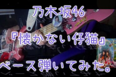 乃木坂46『懐かない仔猫』ベース弾いてみた。